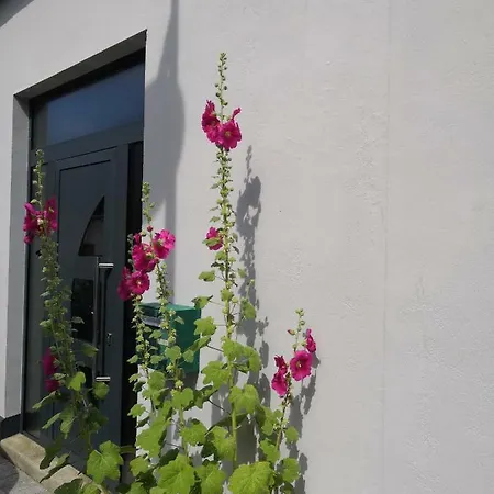 Balise En Baie Villa Saint-Valery-sur-Somme Exterior photo