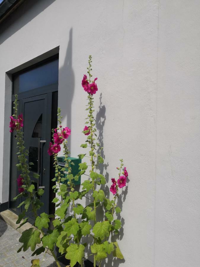 Holiday home Balise En Baie *
